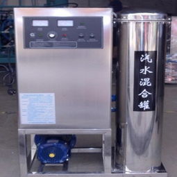臭氧水機在果蔬清洗與海產品保鮮中的消毒應用解析